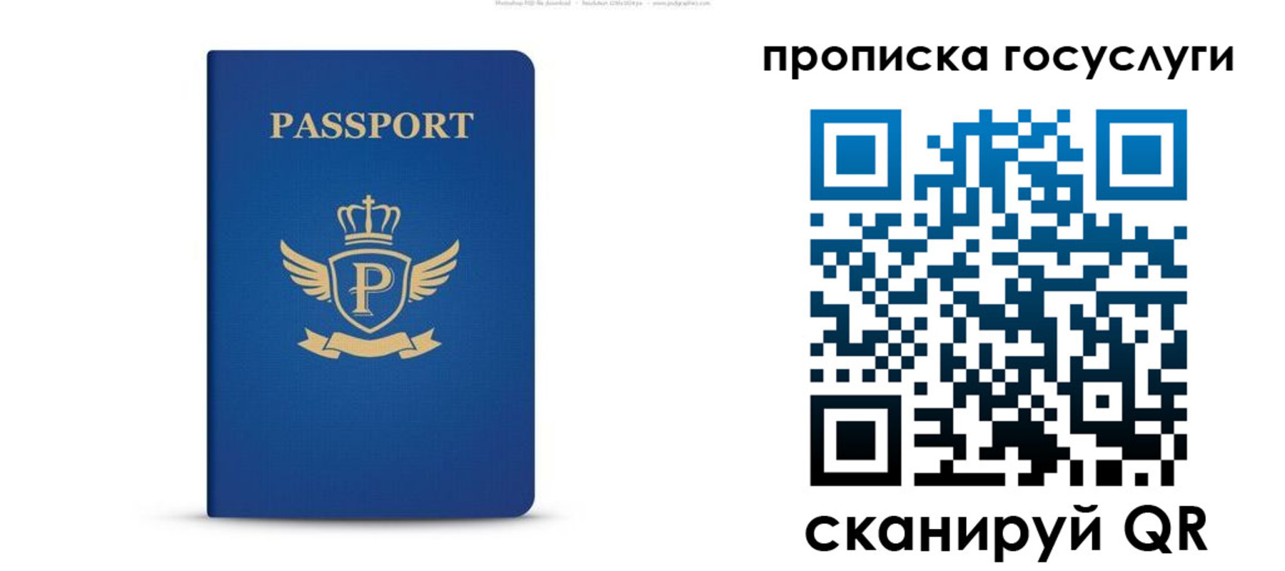 прописка для школы в Рыбном